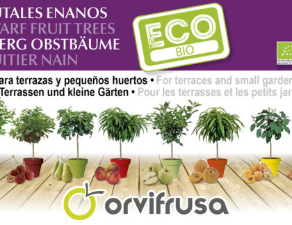 frutal-enano-BIO-orvifrusa