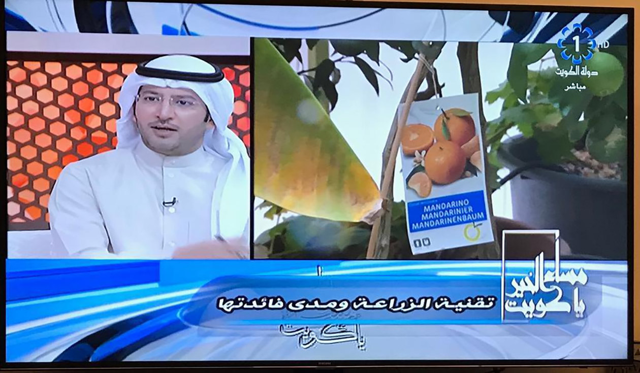 frutales-orvifrusa-kuwait-television
