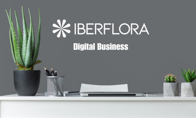 orvifrusa-iberflora-digital-business