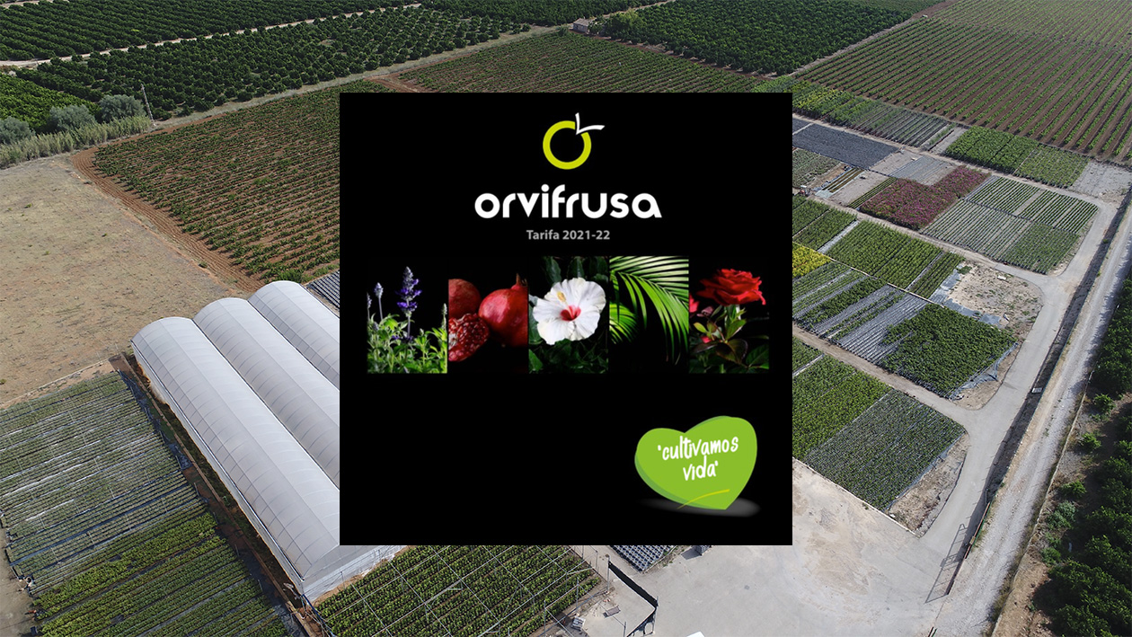 orvifrusa-new-catalogue-22
